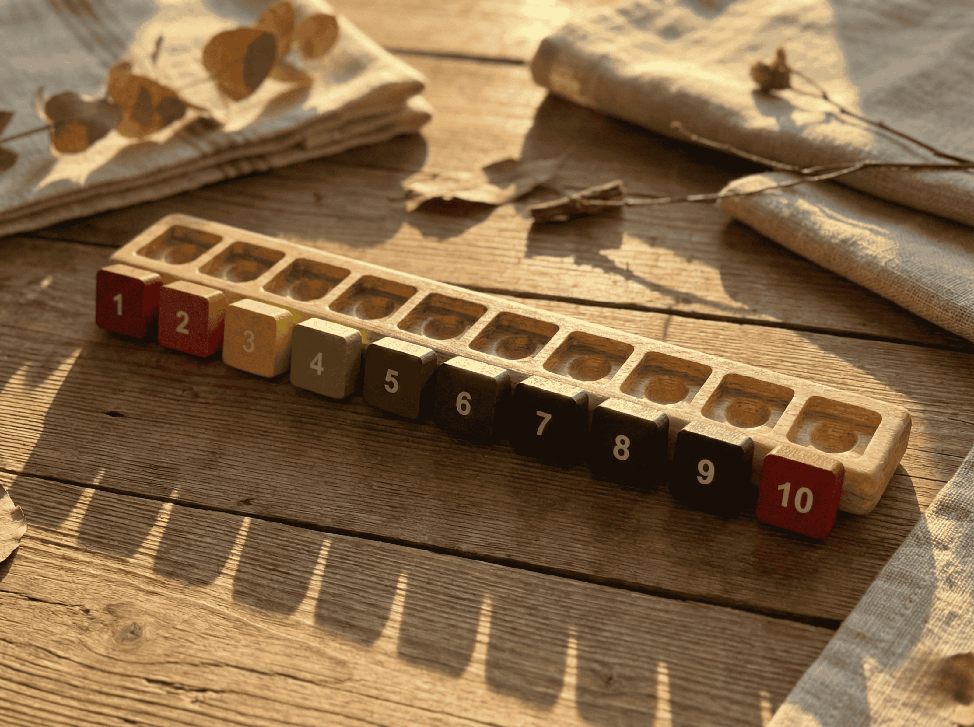 Ten Frame Counting Tray + 10 Number Tiles