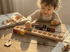 Ten Frame Counting Tray + 10 Number Tiles