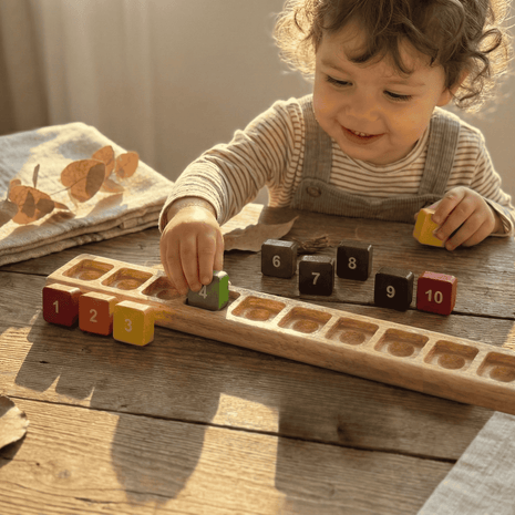 Ten Frame Counting Tray + 10 Number Tiles